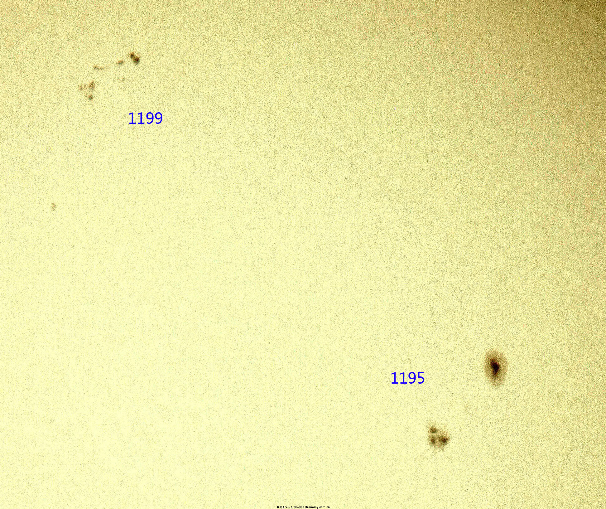 1195+99s.jpg