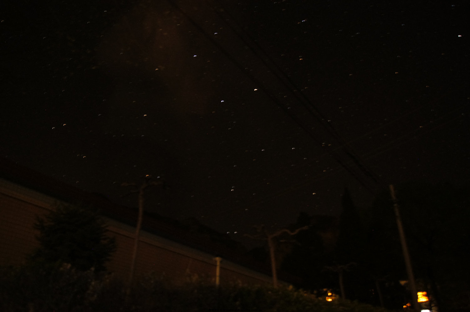 DSC06323.jpg