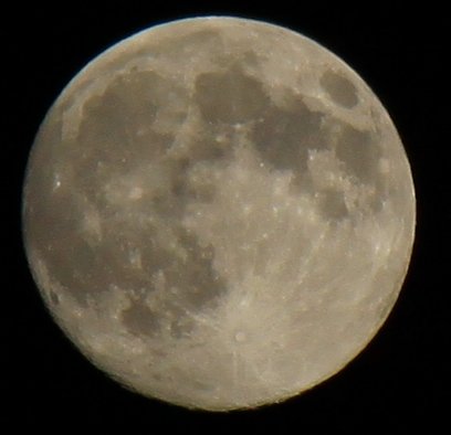 IMG_9894.jpg