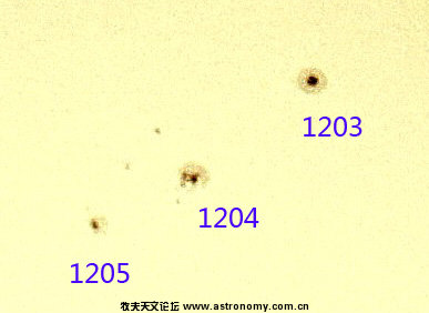 1203 04 05.jpg