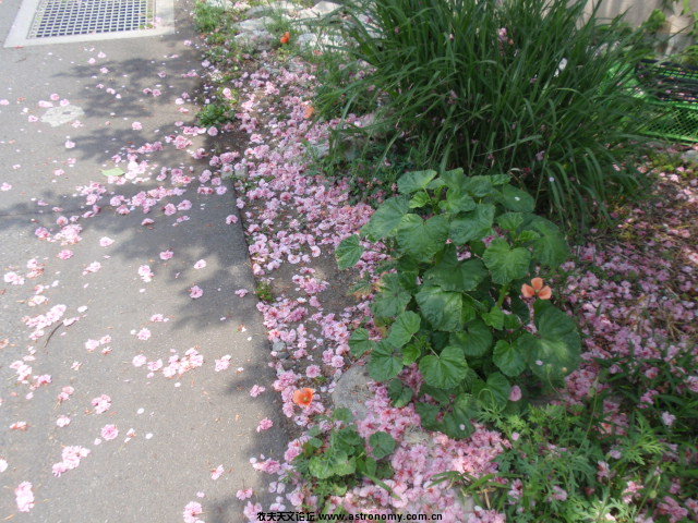 P5082876.JPG