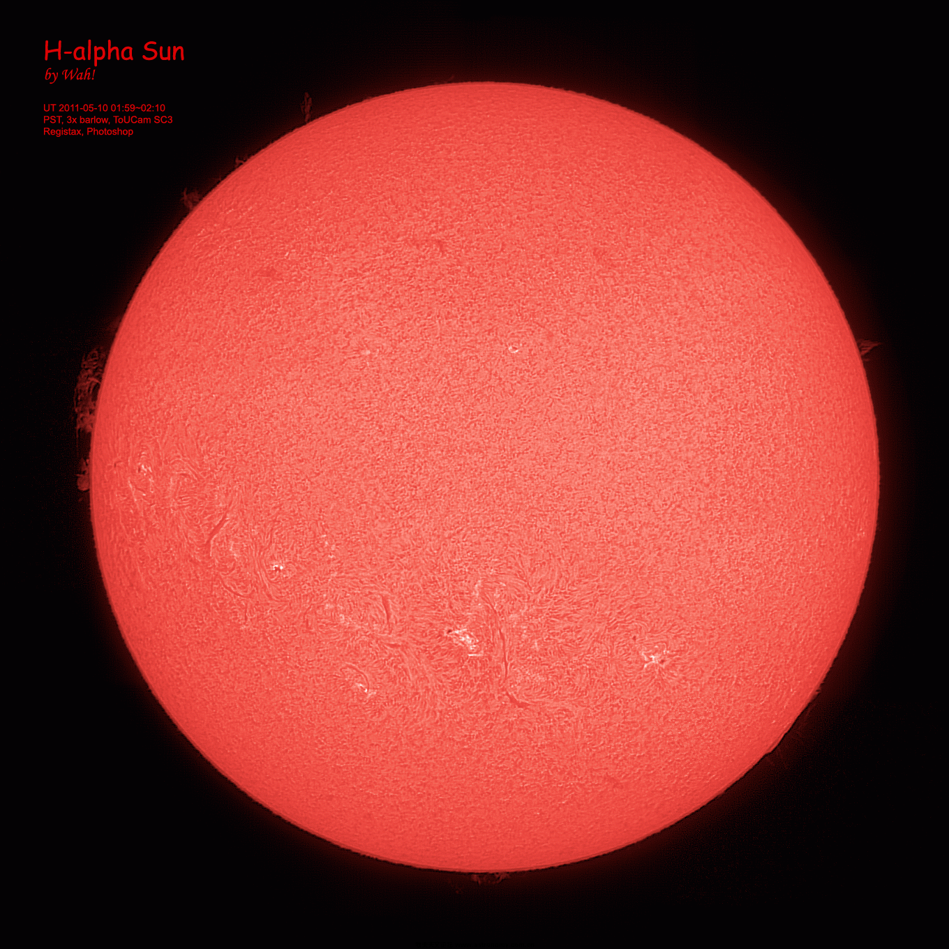 20110510_pstsun_124.gif