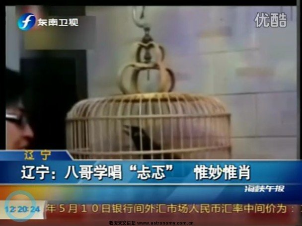 QQ截图20110511102737.jpg