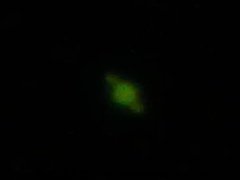 20110515515.jpg