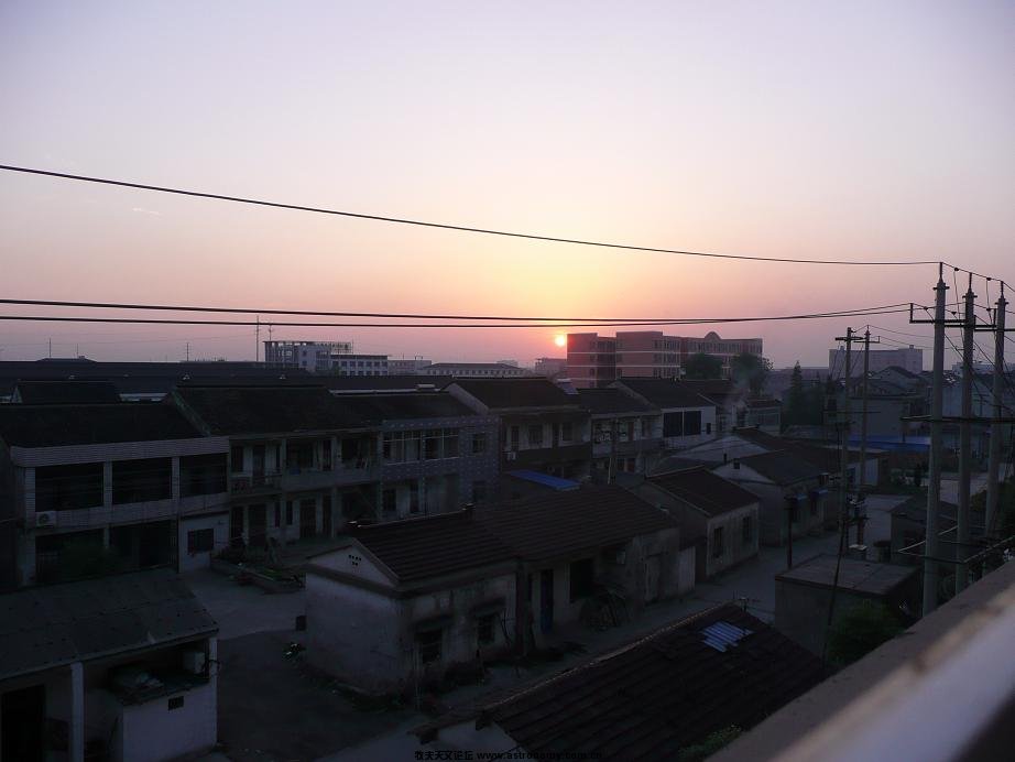003.JPG