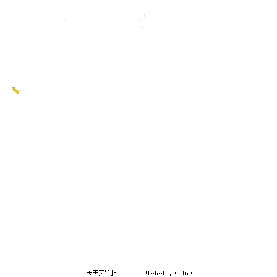 签名.gif