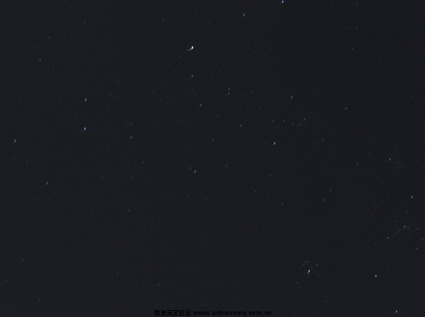 昨天拍的1