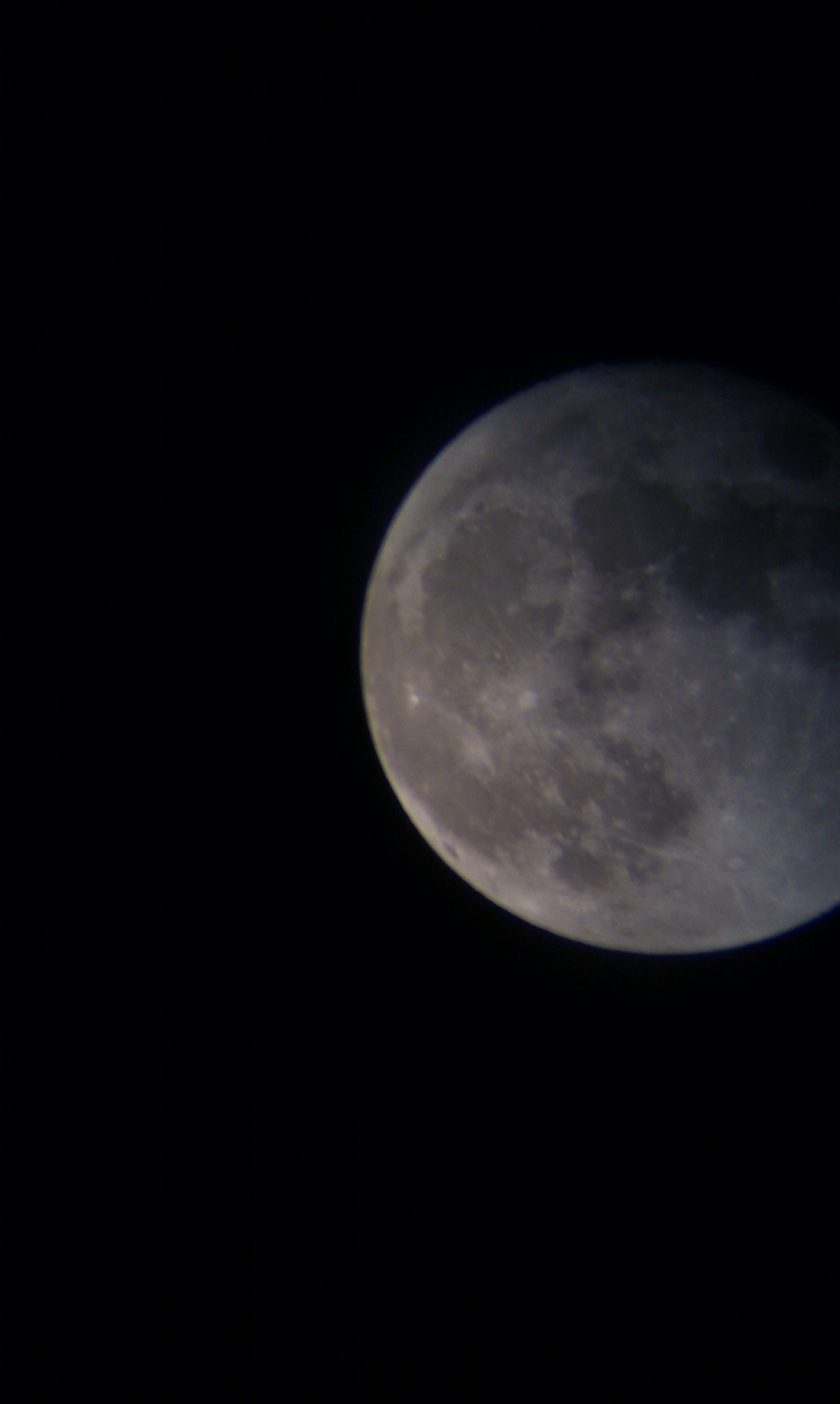 IMAG0851.jpg