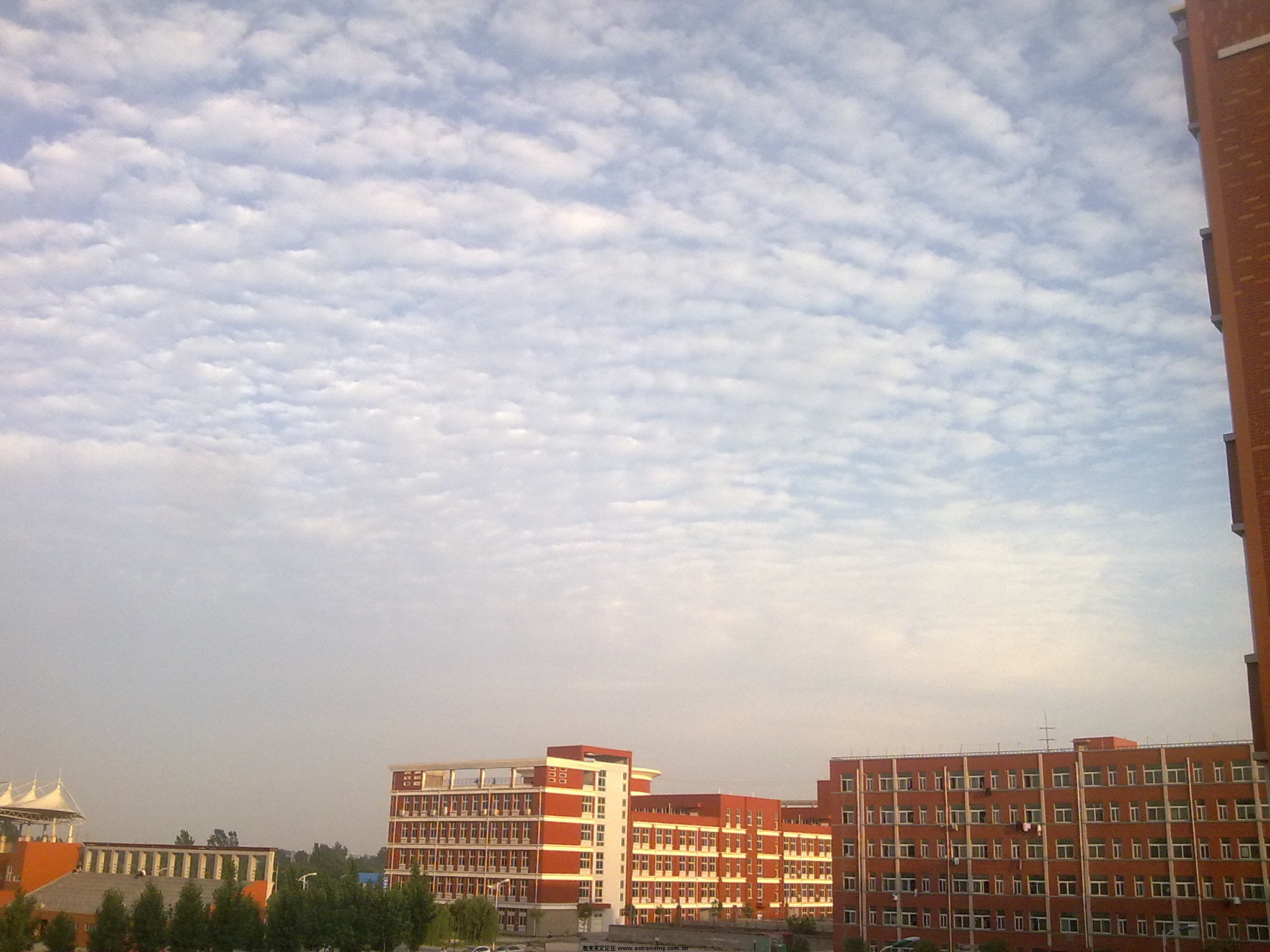 20110523185.jpg