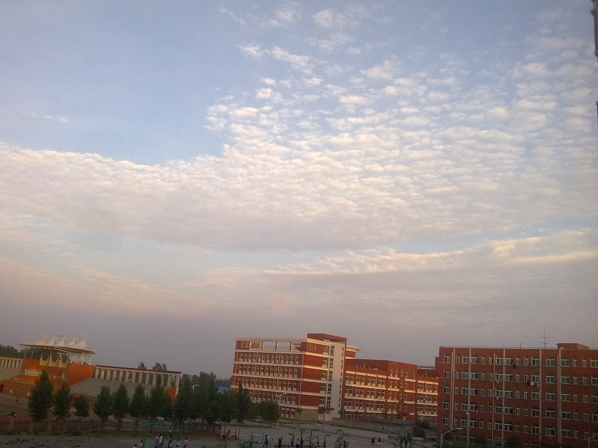 20110523188.jpg