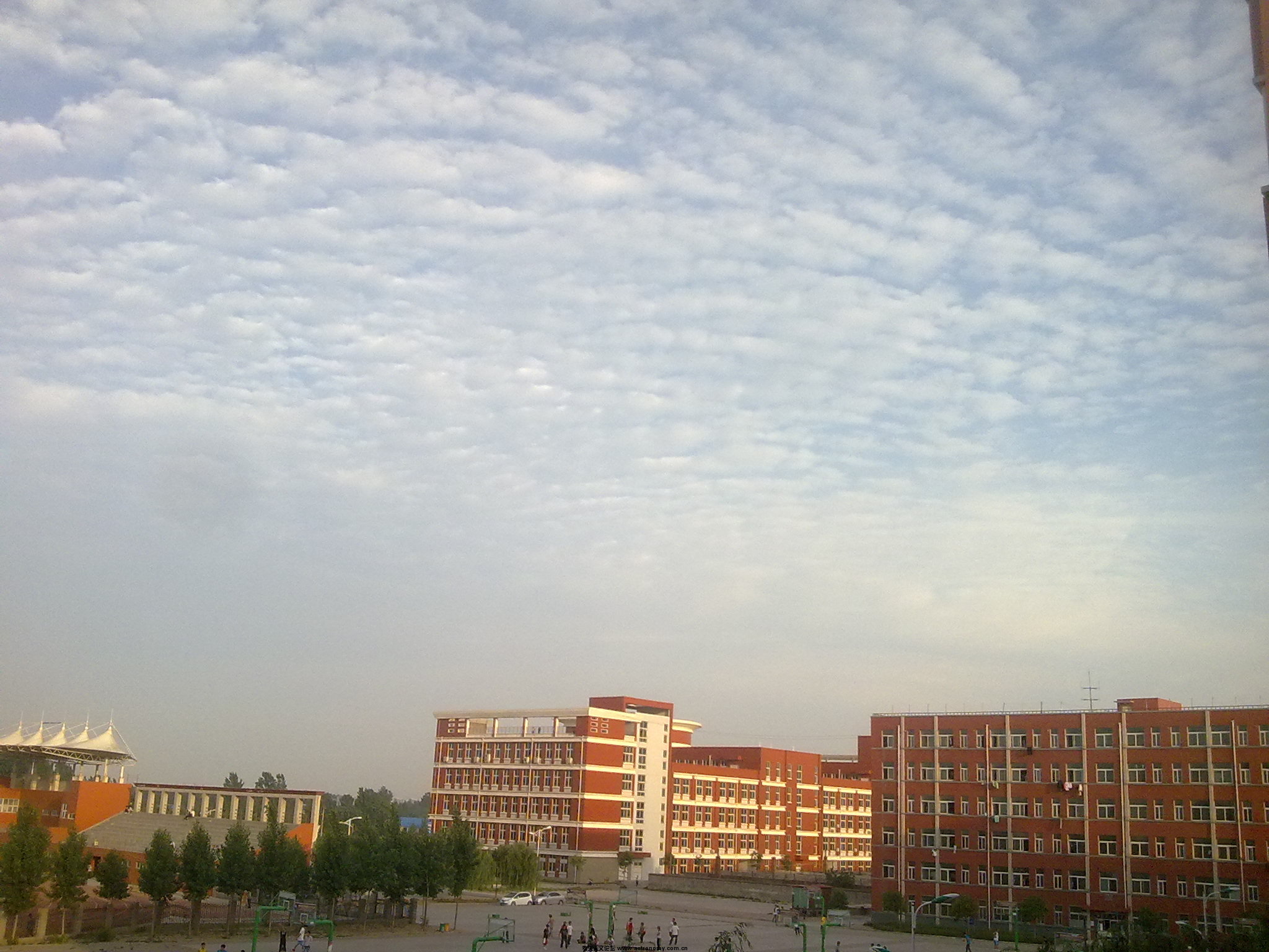 20110523186.jpg