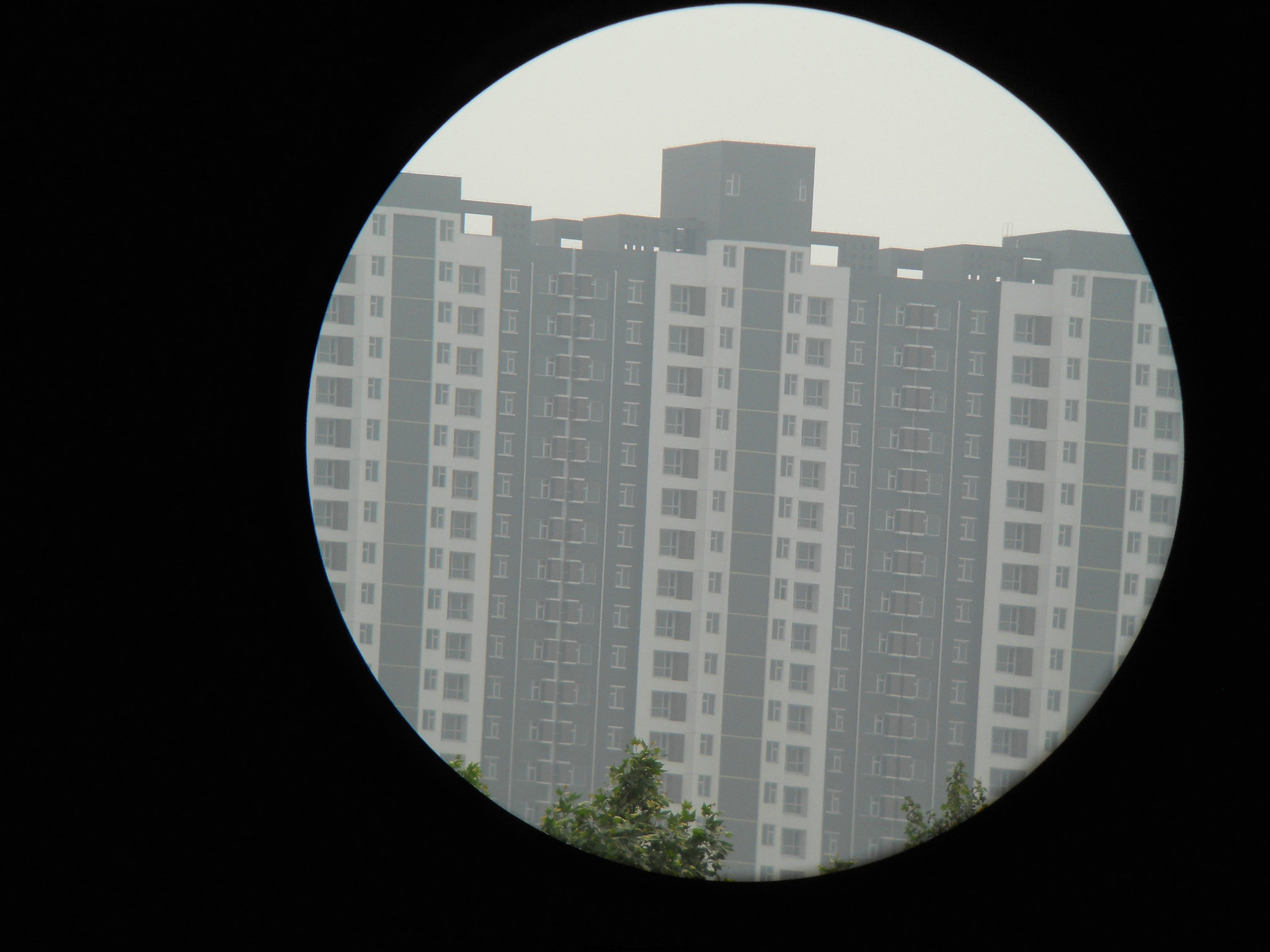 DSCN1036.JPG