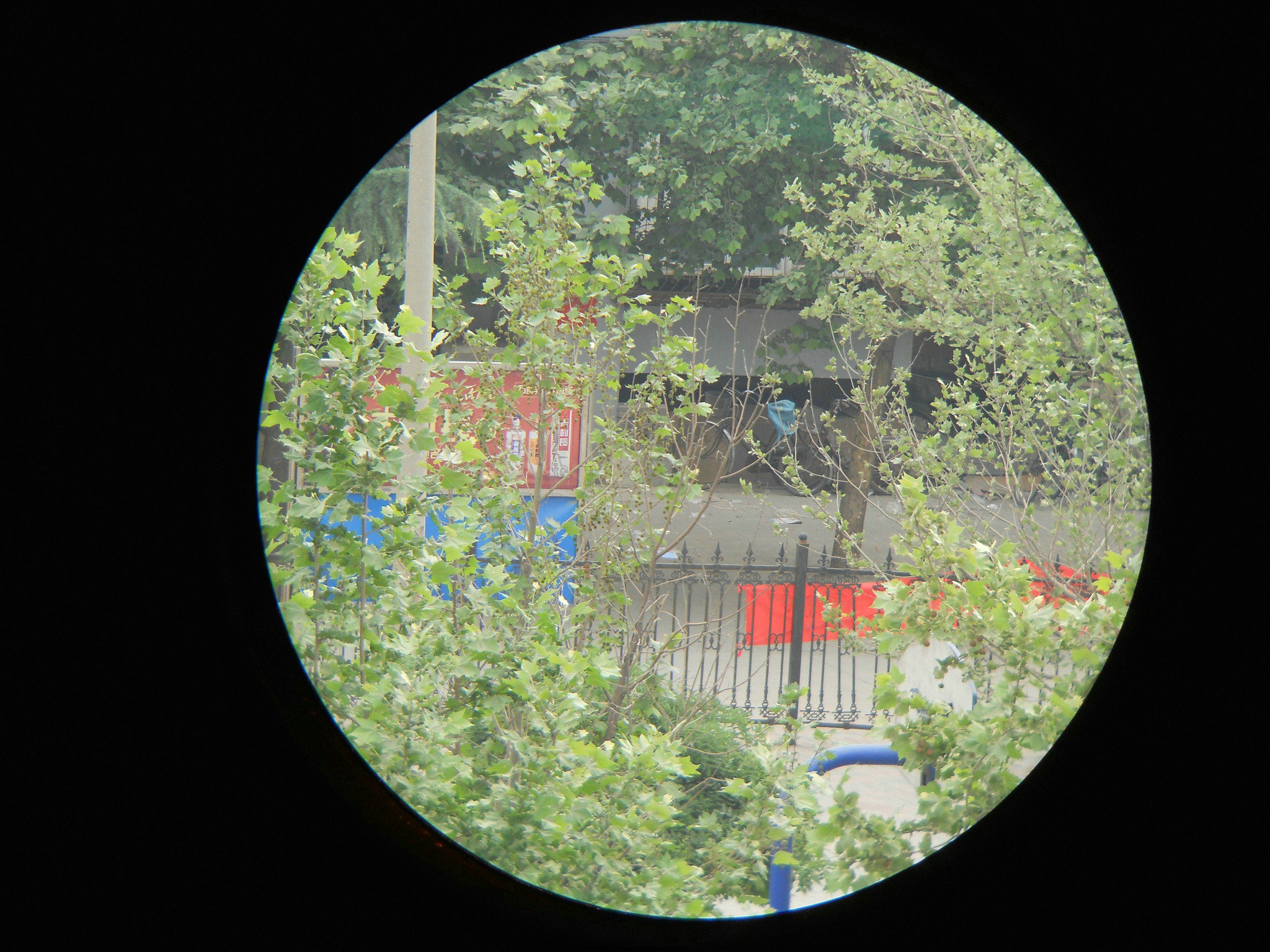 DSCN1039.JPG