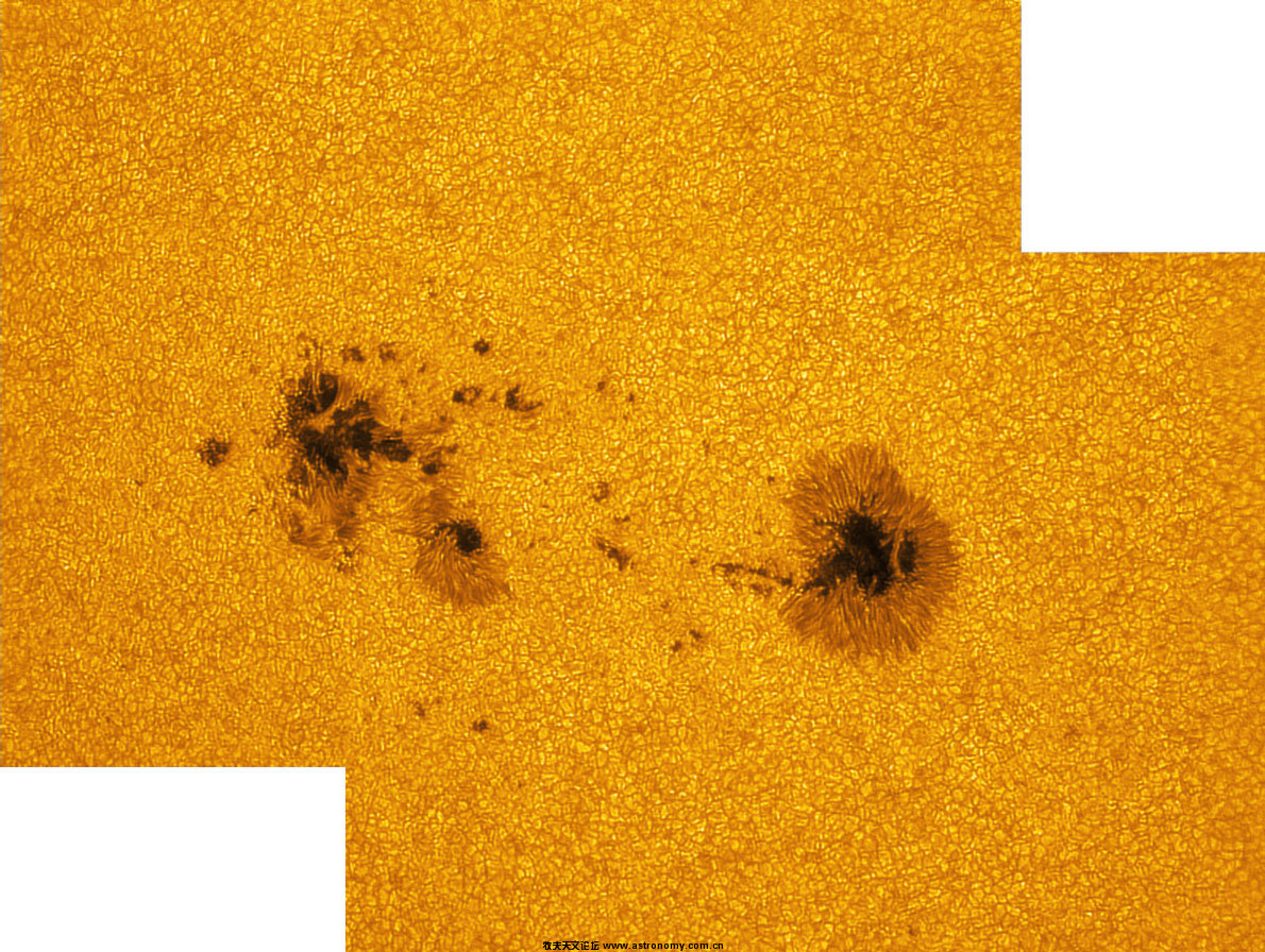 sunspot1195.jpg