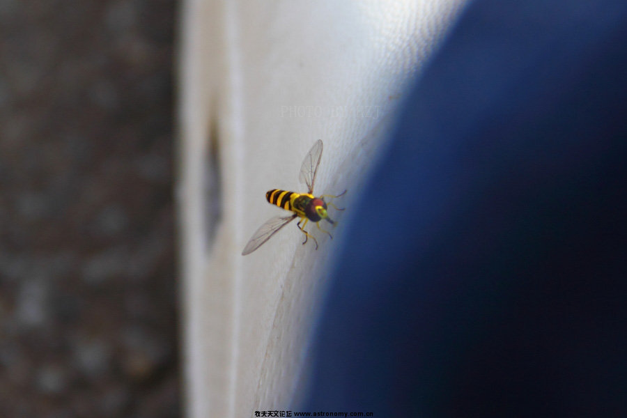 IMG_7273.JPG