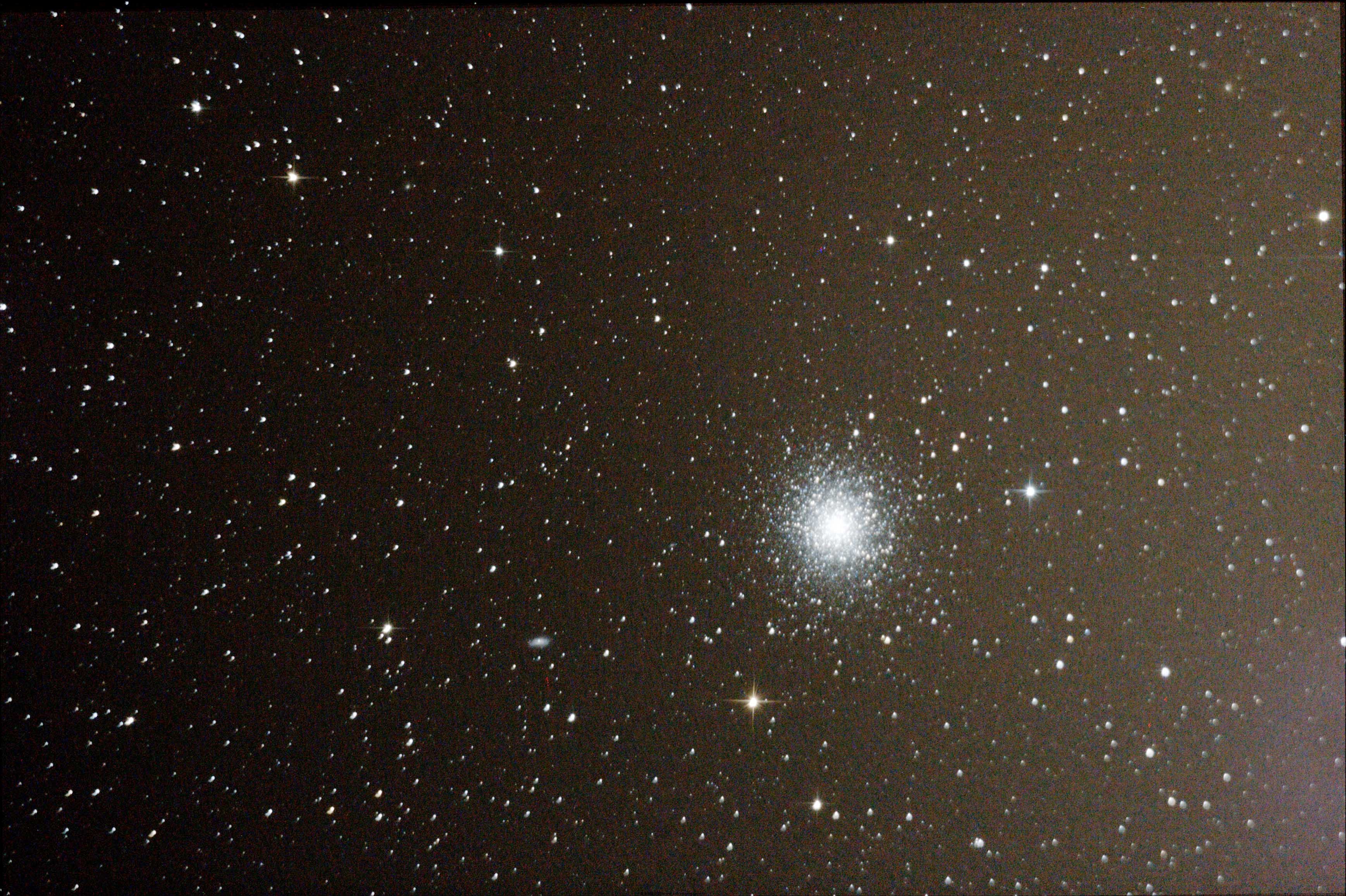 M13.jpg