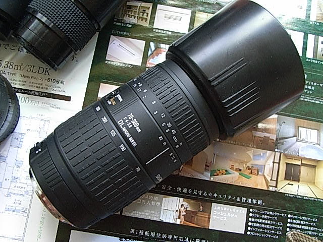 R0038771.JPG