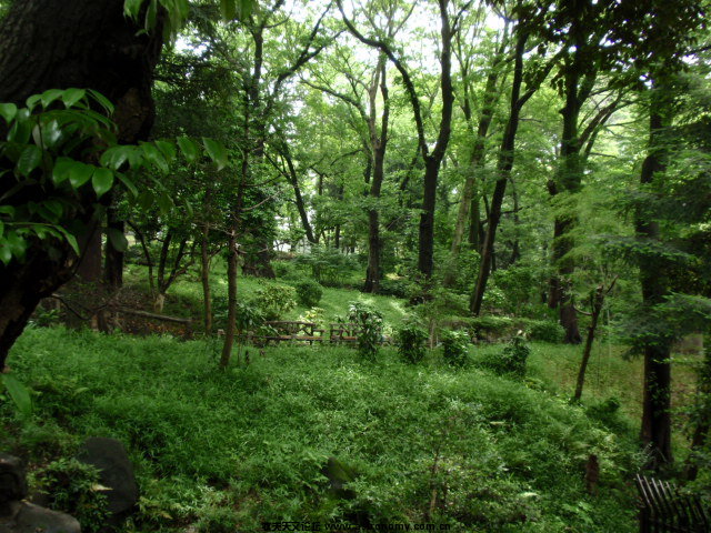 P6031436.JPG
