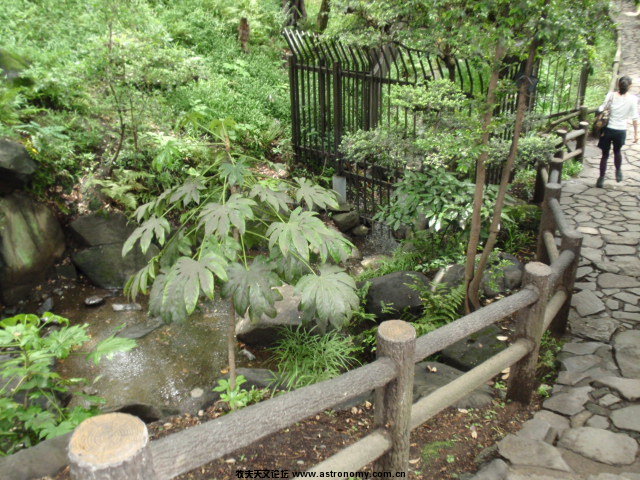P6031437.JPG