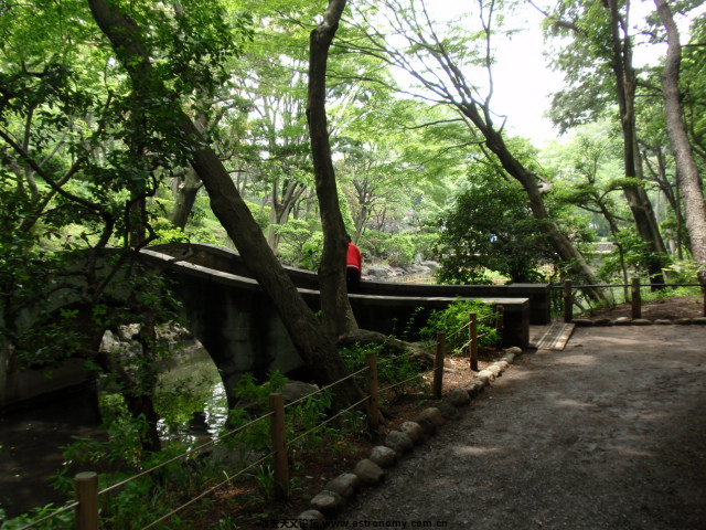 P6031447.JPG