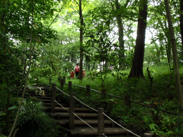 P6031445.JPG