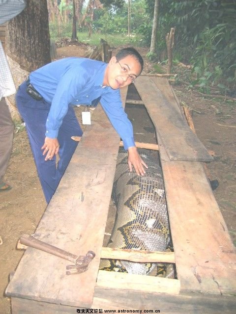anaconda_03.jpg