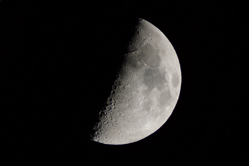 DSC_7990.JPG
