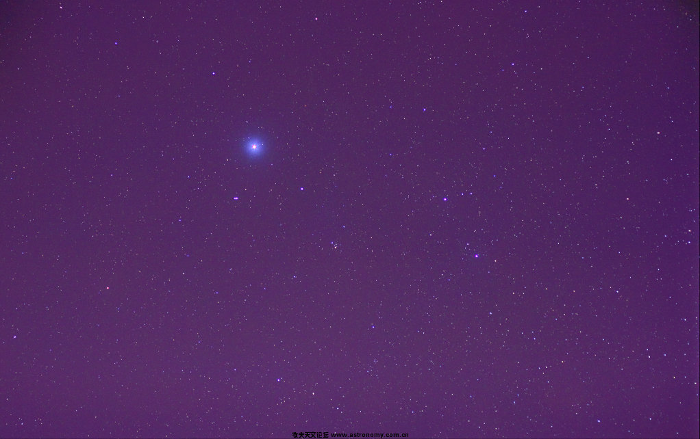 城市星野-天琴座.jpg