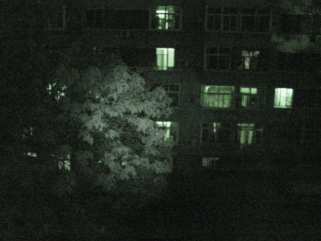 DSC00010_调整大小.JPG