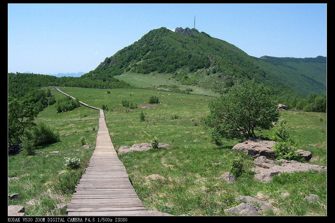 100_8290.jpg