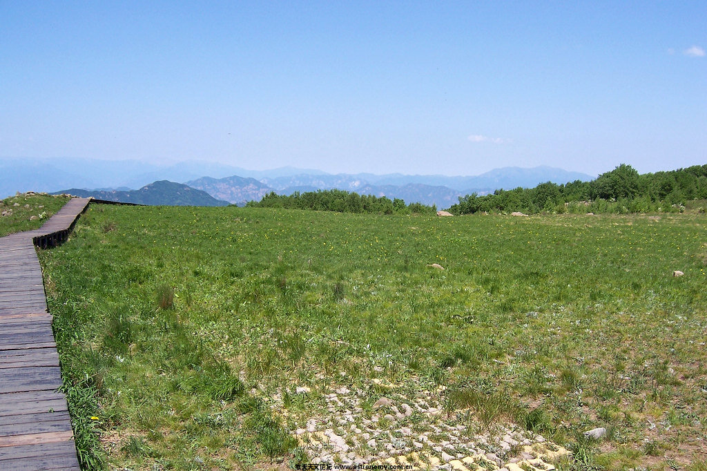 100_8286.jpg