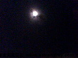 IMG0839A.jpg