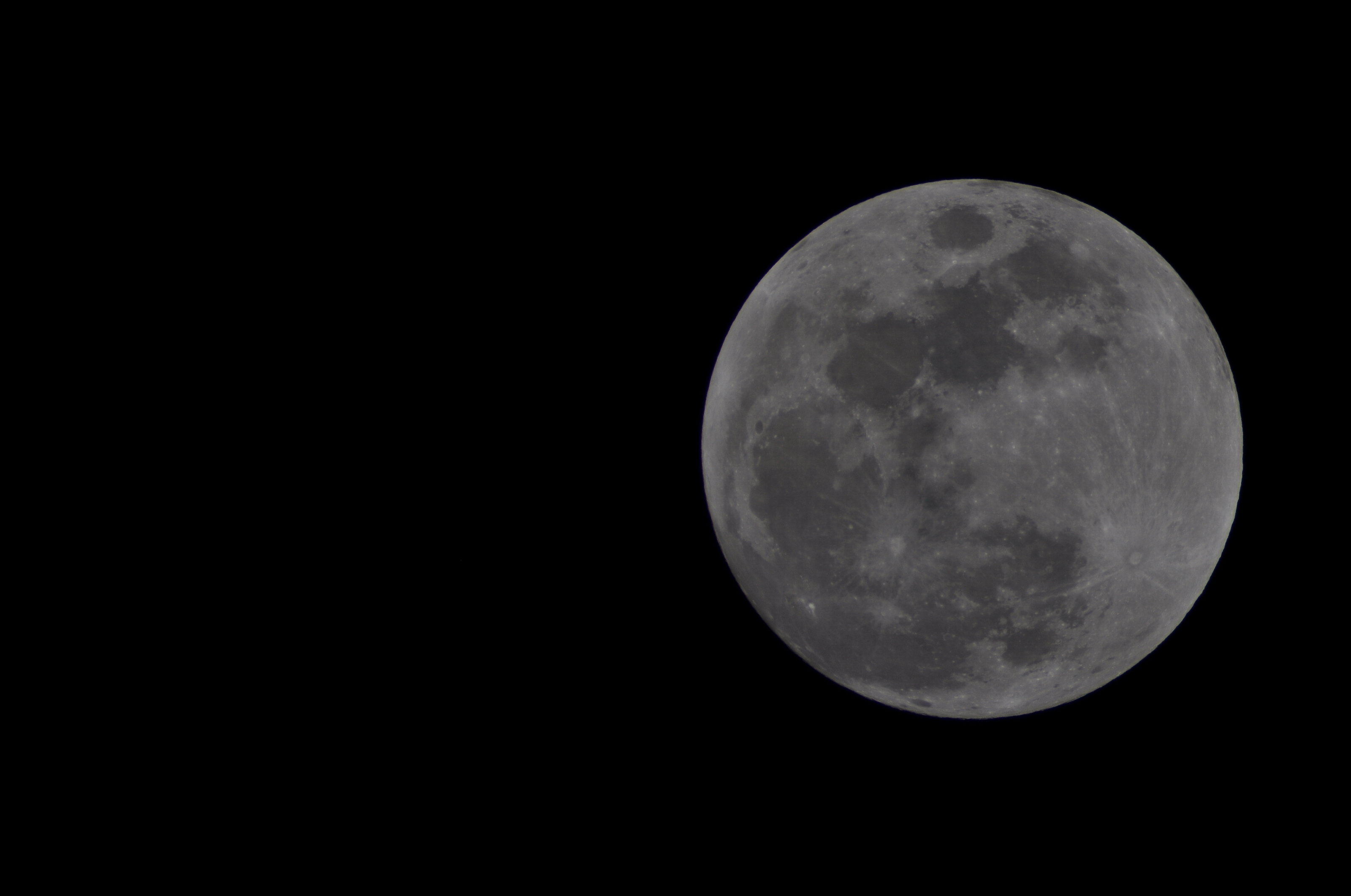 DSC_0301.JPG