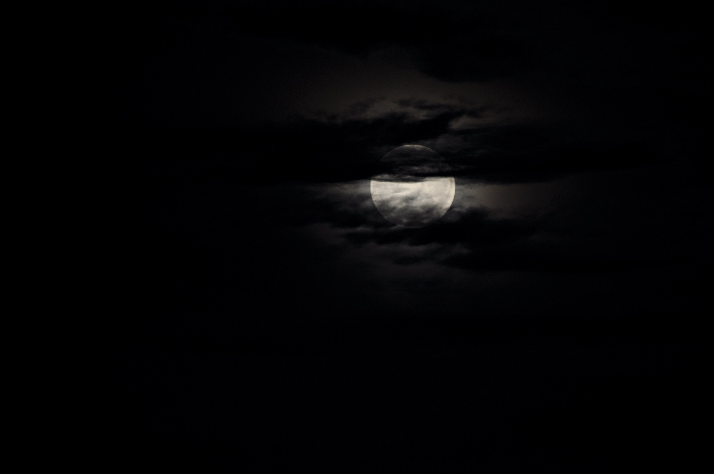 DSC_0264.JPG