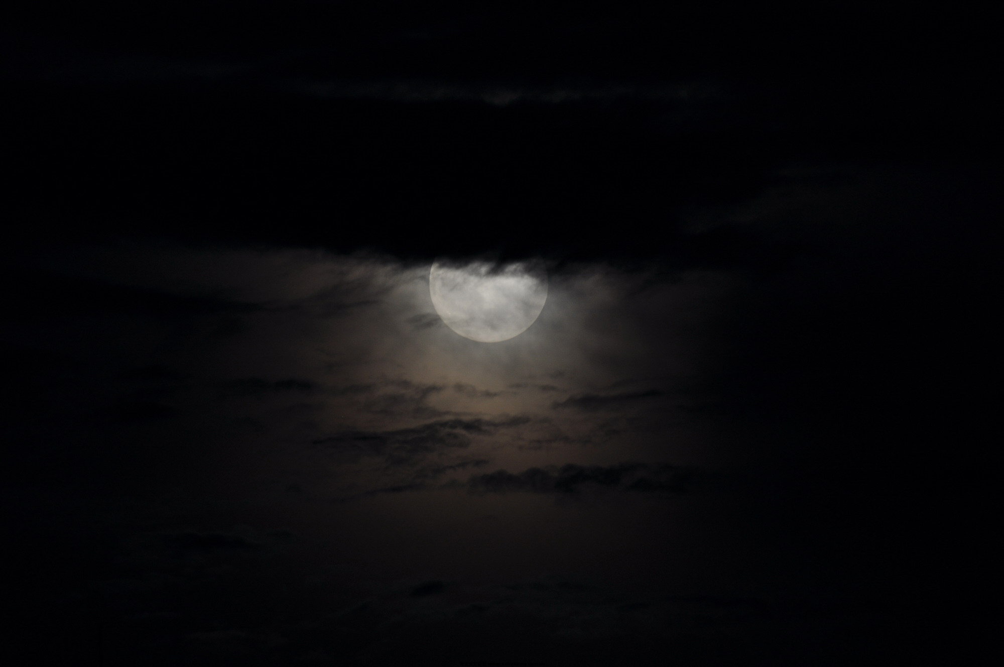 DSC_0267.JPG