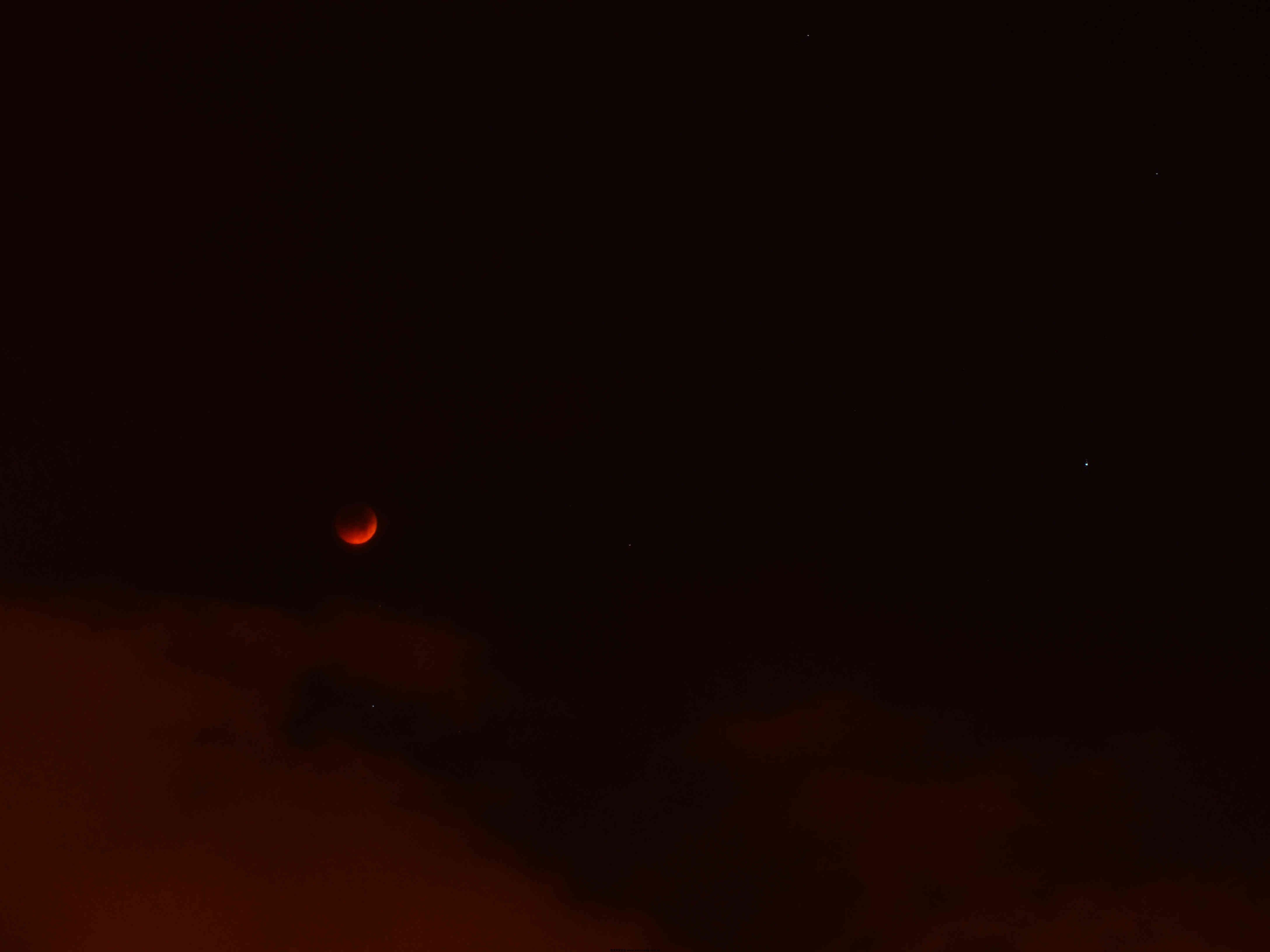 DSC_12981.jpg