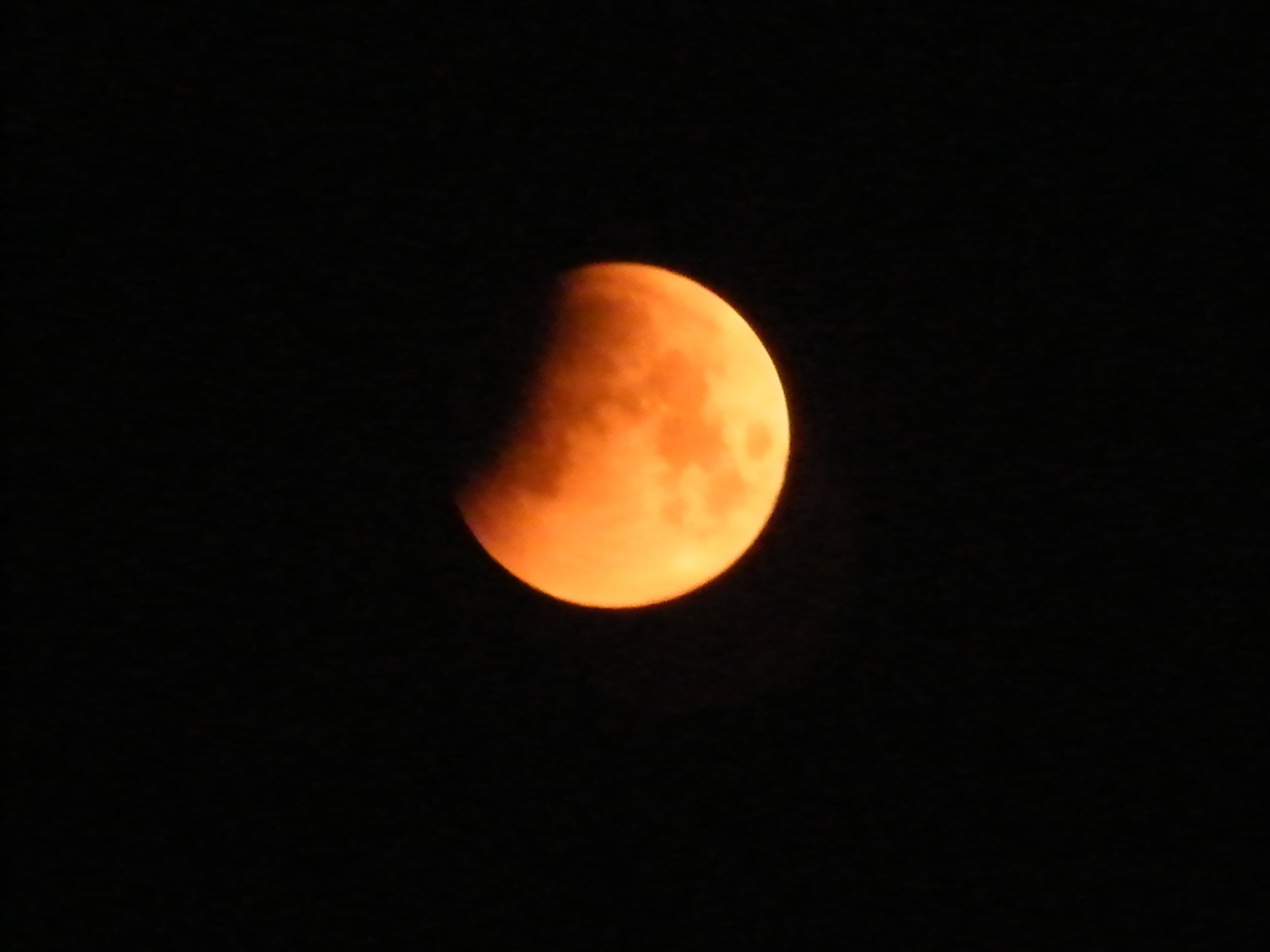DSCF1037.JPG