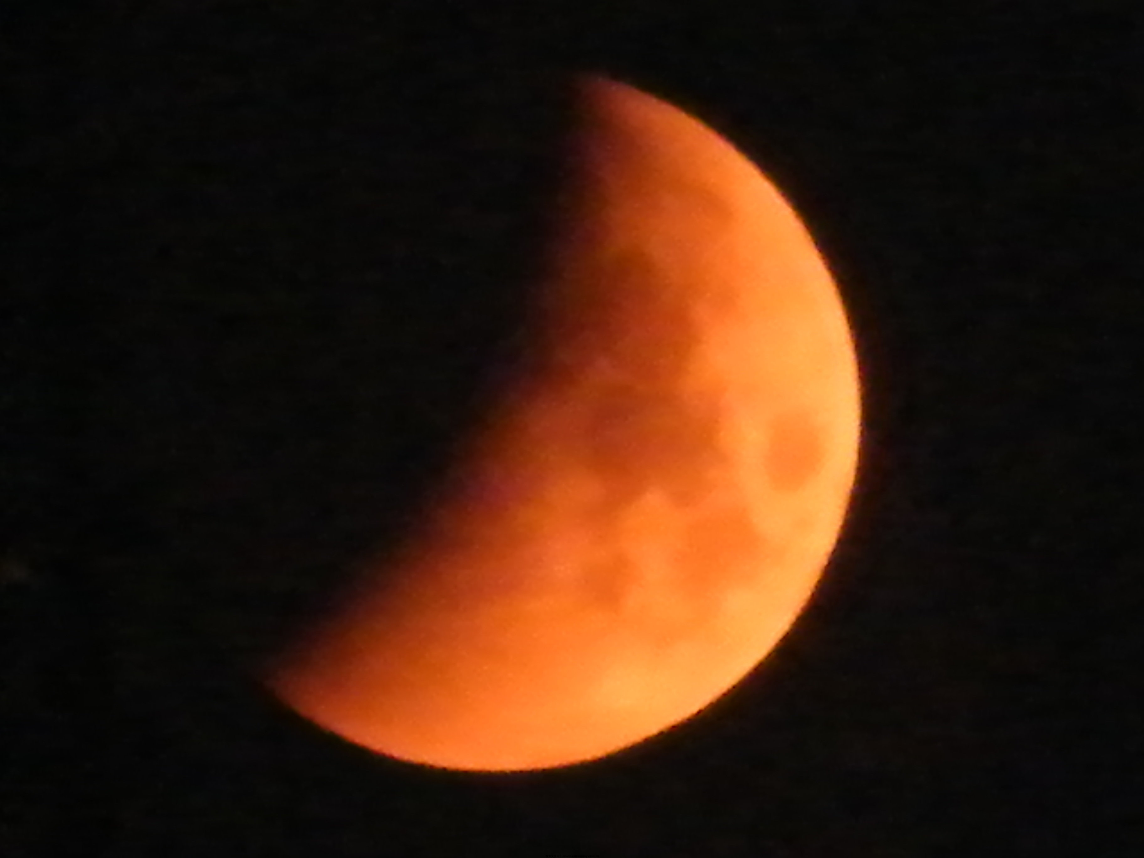 DSCF1061.JPG