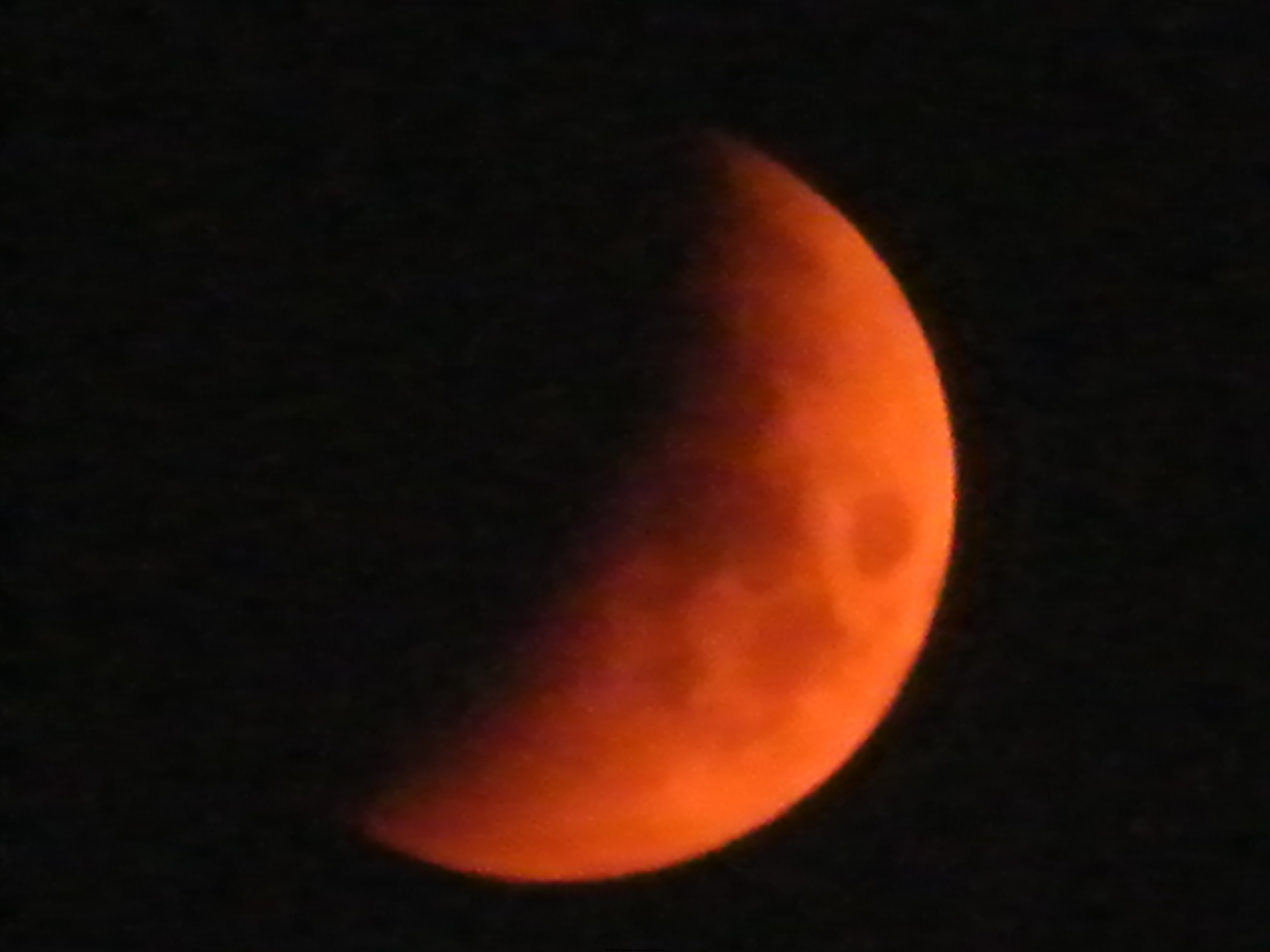 DSCF1070.JPG