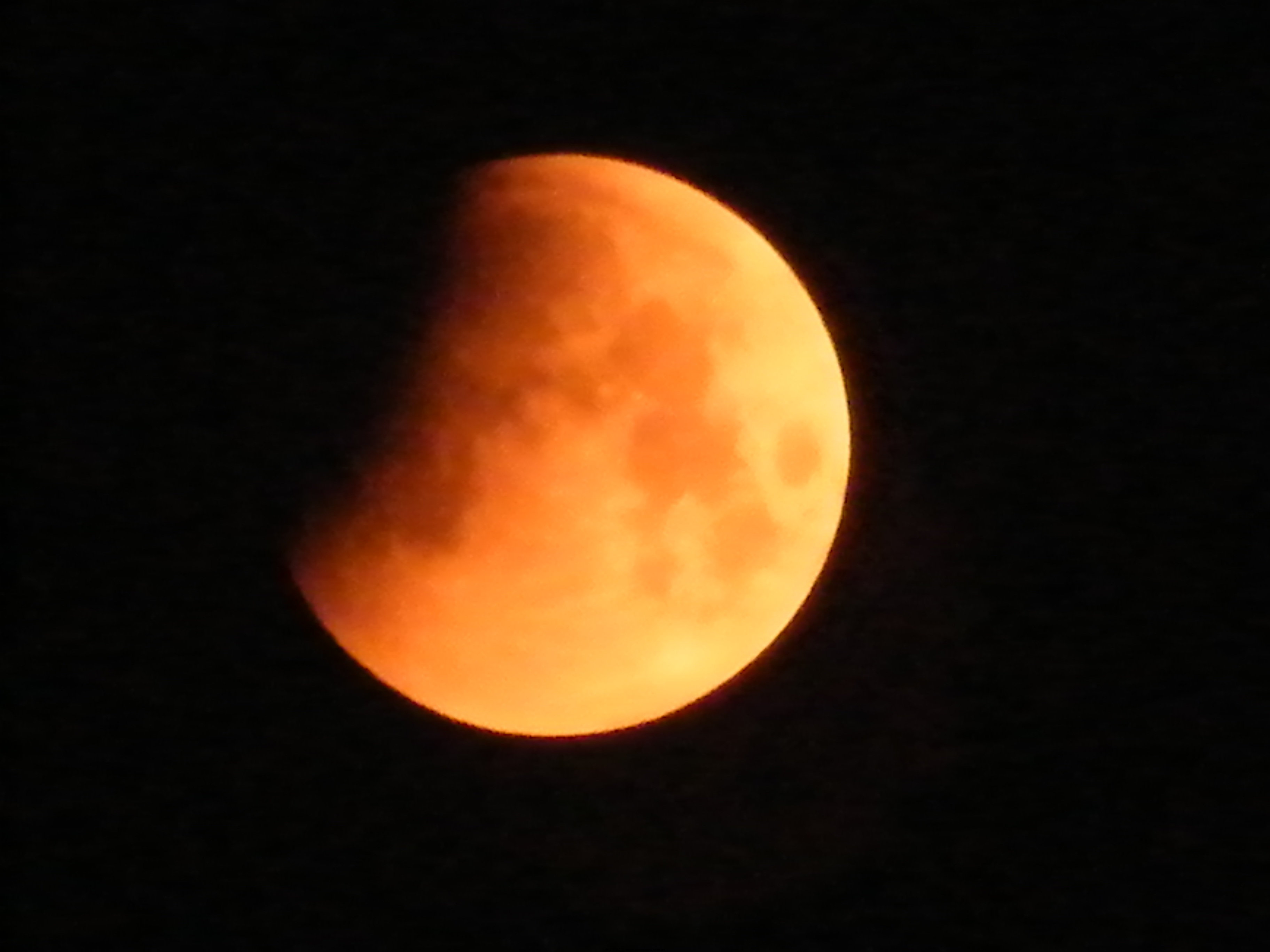 DSCF1038.JPG