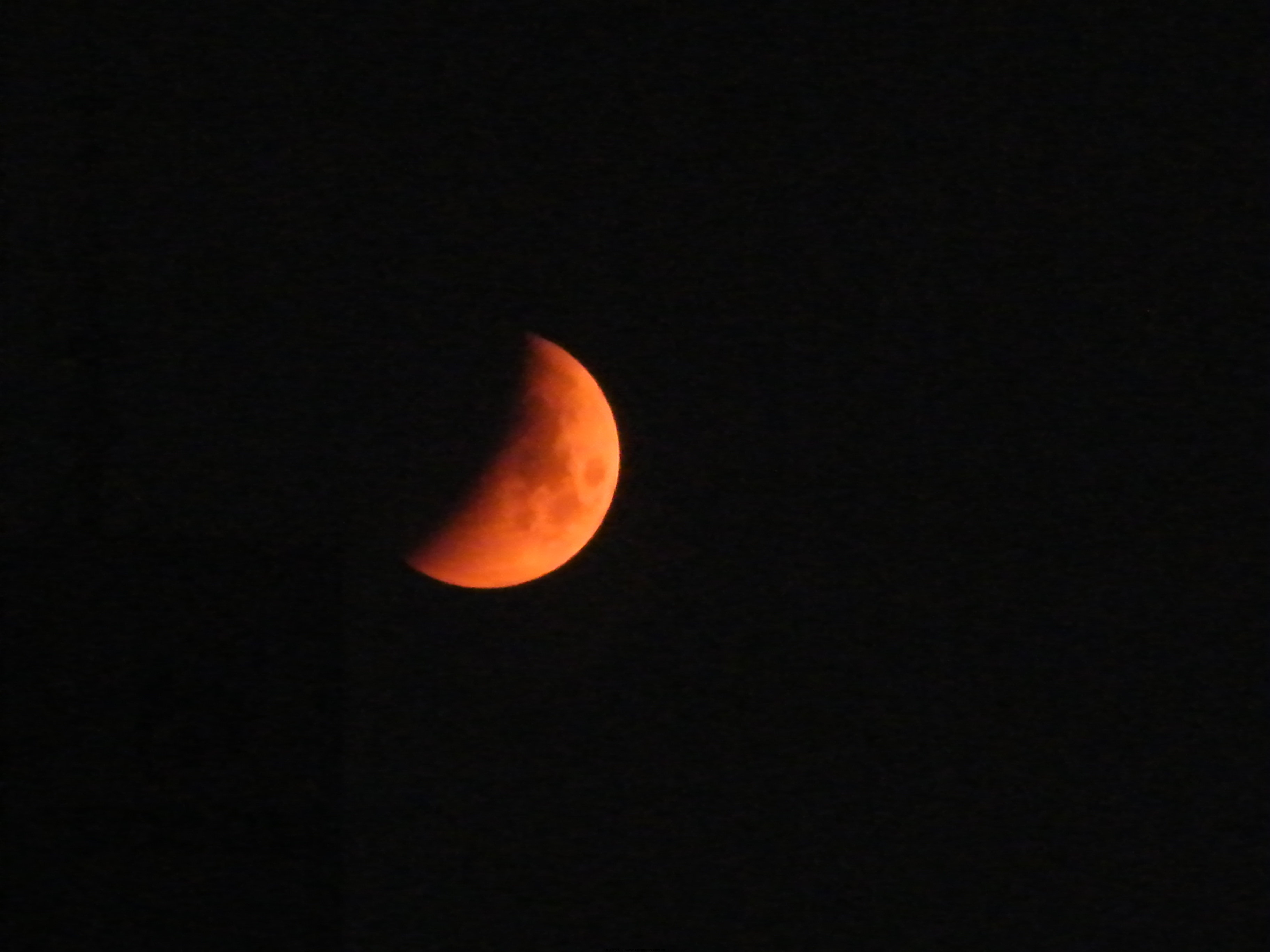 DSCF1063.JPG