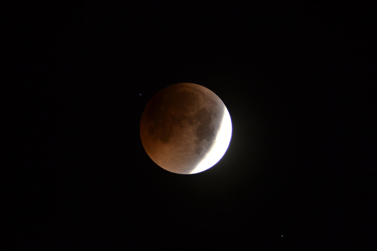 dsc_0641_conew11.jpg