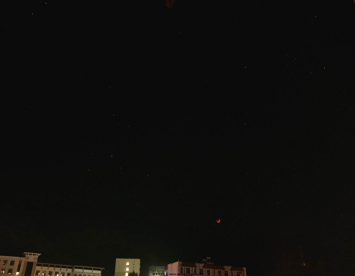 dsc_0705_conew11.jpg