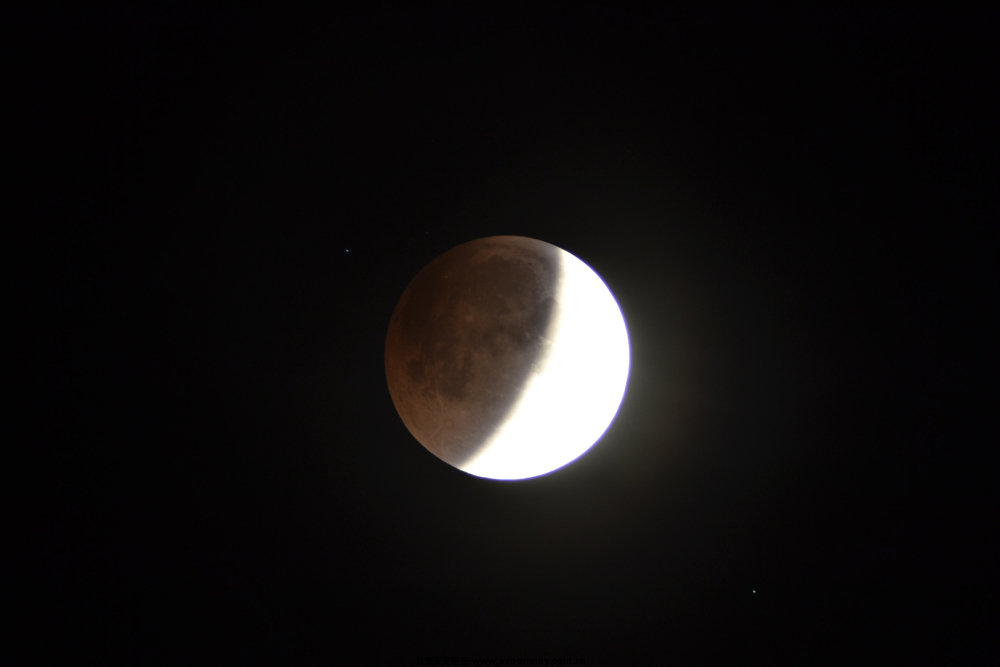 DSC_06271.jpg