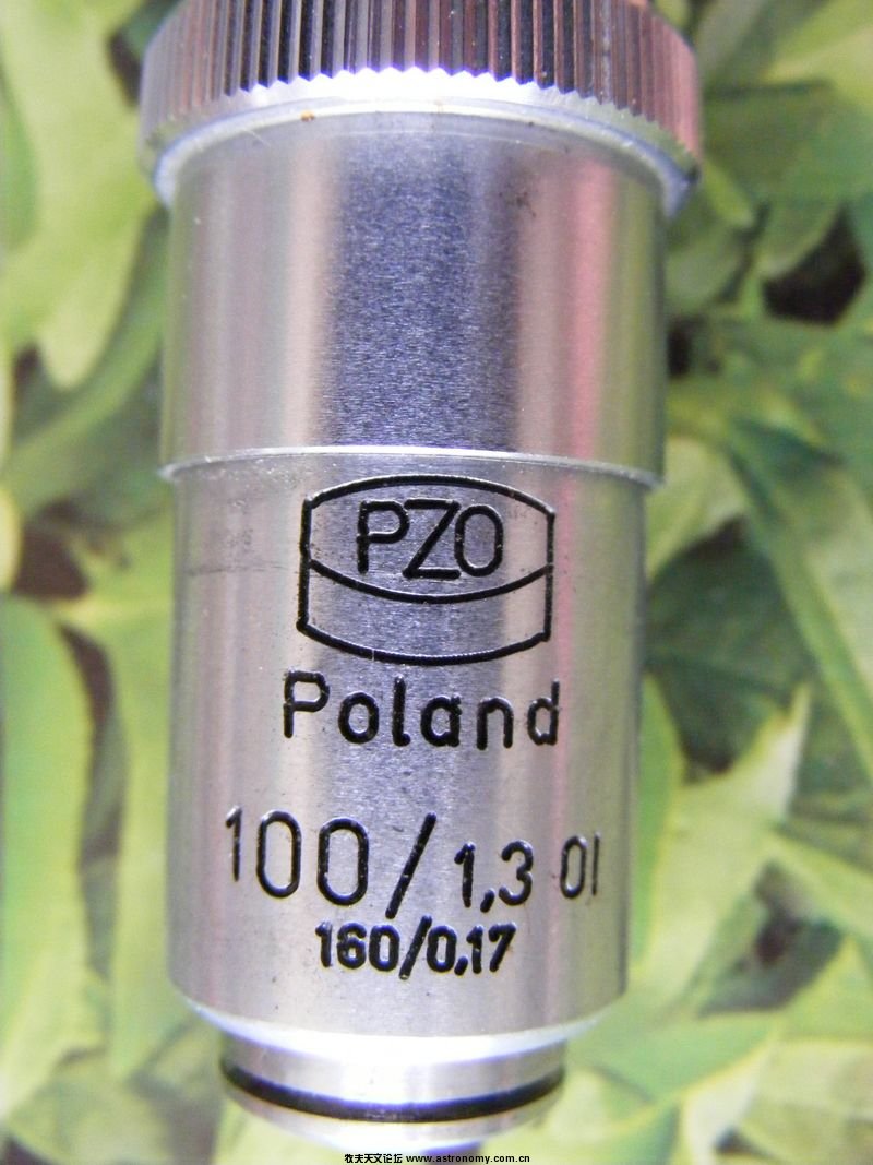 DSCF1100.jpg