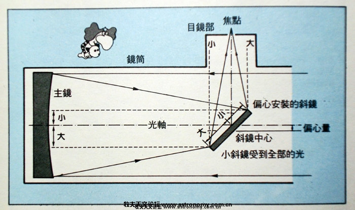 牛反光路.jpg