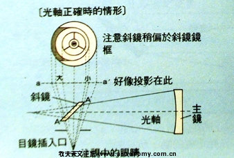 牛反光路1.jpg