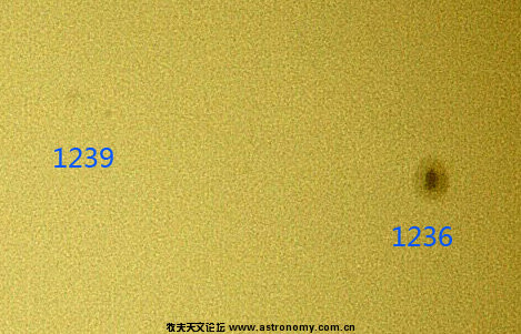 1236 39.jpg