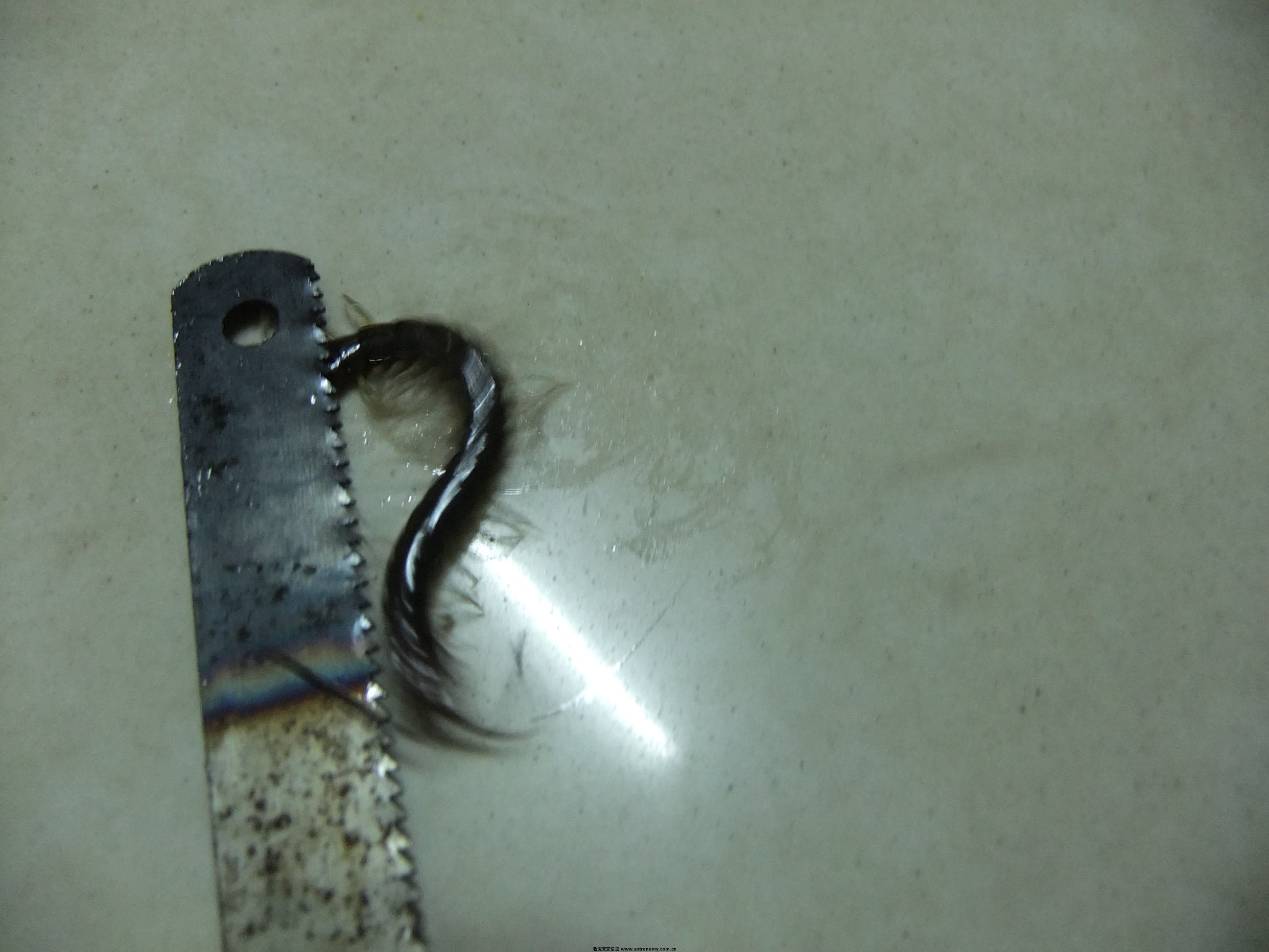 DSCF4617.JPG