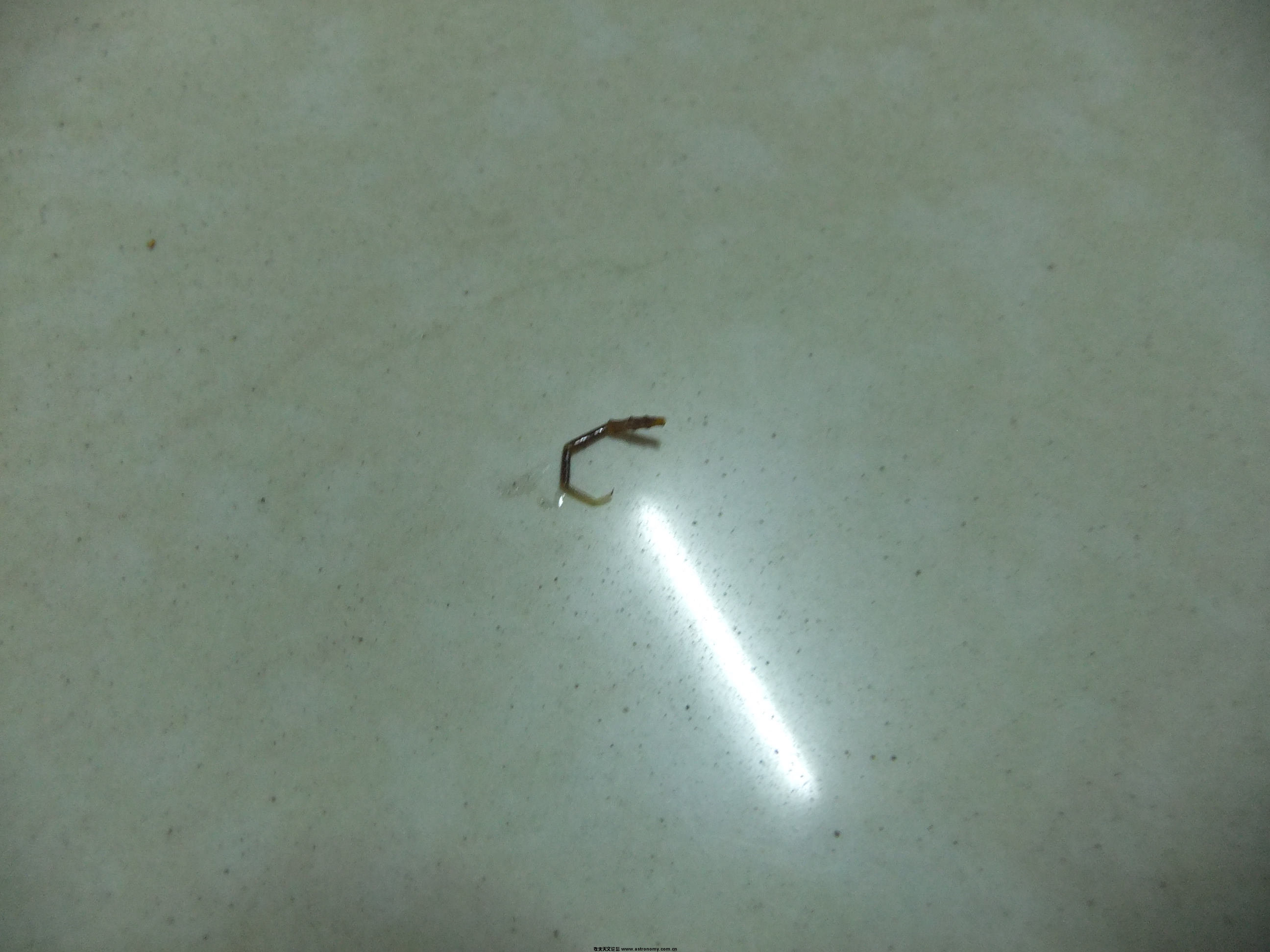 DSCF4619.JPG